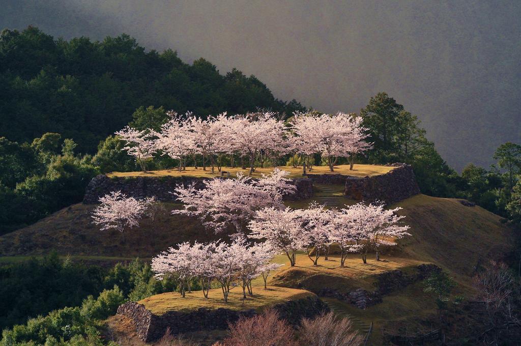 Iruka Onsen Hotel Seiryuusou Kumano Bagian luar foto